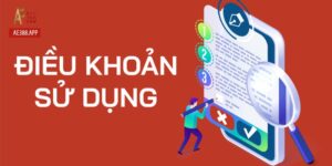 Chính Sách Điều Khoản Sử Dụng AE388