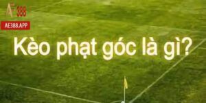 keo phat goc la gi anh dai dien