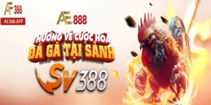 ae388 da ga thuong ve cuoc ftd anh dai dien