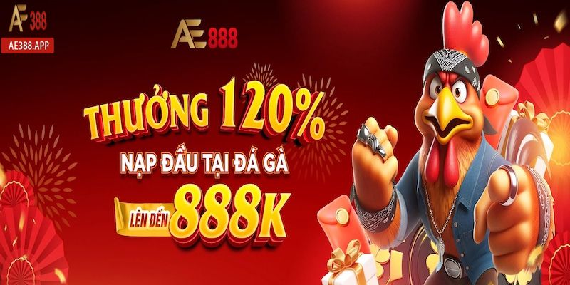 ae388 thuong nap dau da ga 120 anh dai dien