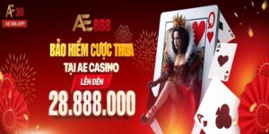 bao hiem cuoc thua ae casino anh dai dien