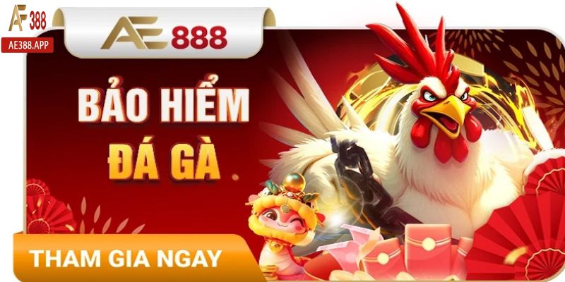 4 lưu ý khi tham gia bảo hiểm cược thua chọi gà AE388