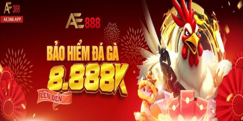 bao hiem cuoc thua da ga ae388 anh dai dien